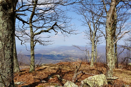 Le Corbeau et le Renard 